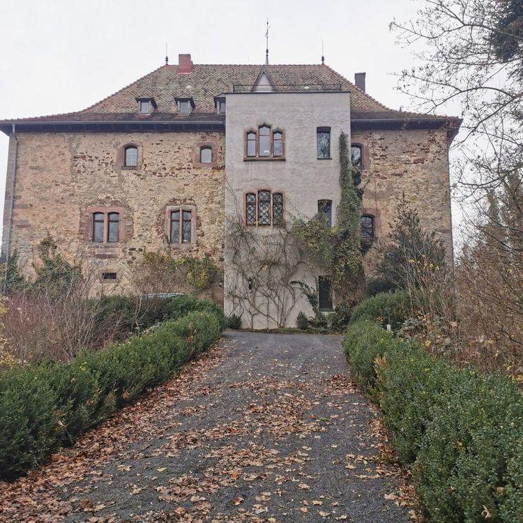 Burg Brandenstein Schluechtern 4